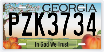 GA license plate PZK3734