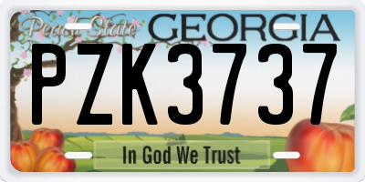 GA license plate PZK3737