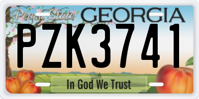 GA license plate PZK3741