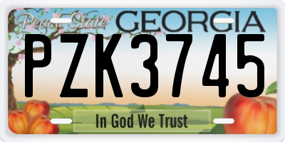 GA license plate PZK3745