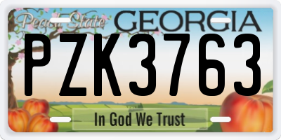GA license plate PZK3763