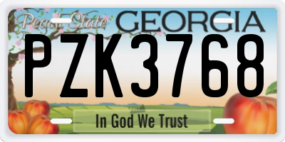 GA license plate PZK3768