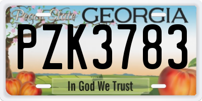 GA license plate PZK3783