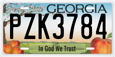GA license plate PZK3784