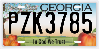 GA license plate PZK3785