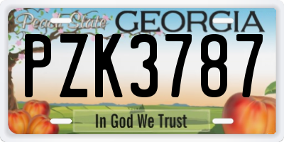 GA license plate PZK3787