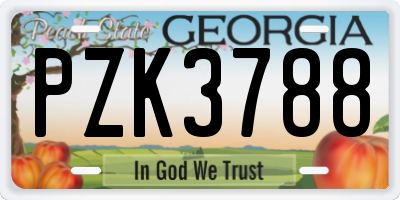 GA license plate PZK3788