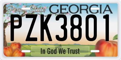 GA license plate PZK3801