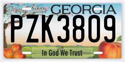 GA license plate PZK3809