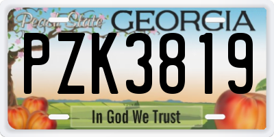 GA license plate PZK3819