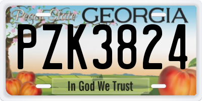 GA license plate PZK3824
