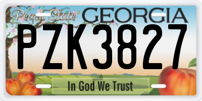 GA license plate PZK3827