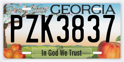 GA license plate PZK3837