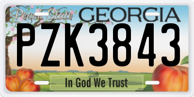 GA license plate PZK3843