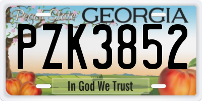 GA license plate PZK3852