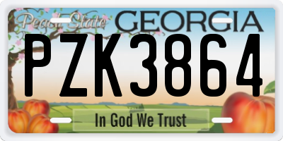 GA license plate PZK3864