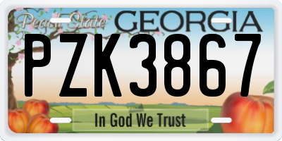 GA license plate PZK3867