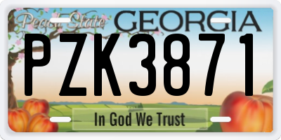 GA license plate PZK3871