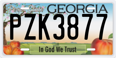 GA license plate PZK3877