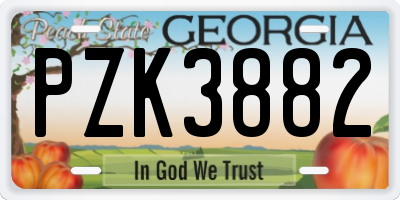 GA license plate PZK3882