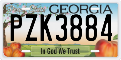 GA license plate PZK3884