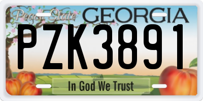 GA license plate PZK3891