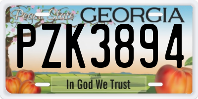 GA license plate PZK3894