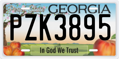 GA license plate PZK3895