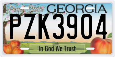 GA license plate PZK3904