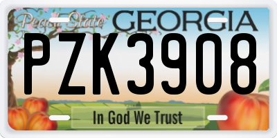 GA license plate PZK3908