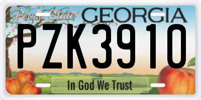 GA license plate PZK3910