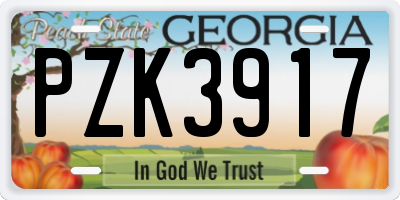GA license plate PZK3917