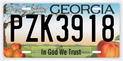GA license plate PZK3918