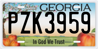 GA license plate PZK3959