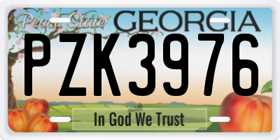 GA license plate PZK3976
