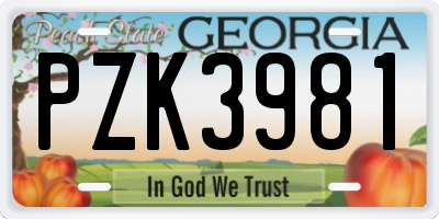 GA license plate PZK3981