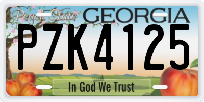 GA license plate PZK4125