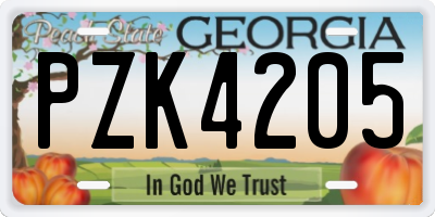 GA license plate PZK4205