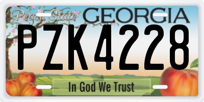 GA license plate PZK4228