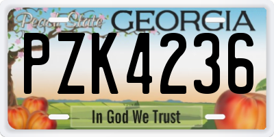 GA license plate PZK4236