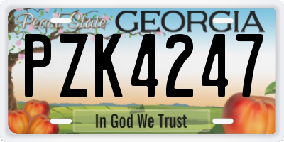 GA license plate PZK4247