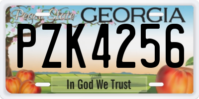 GA license plate PZK4256
