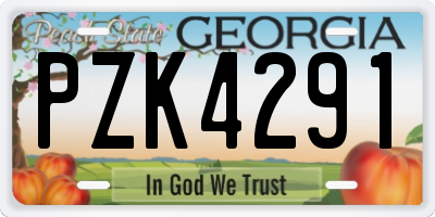 GA license plate PZK4291