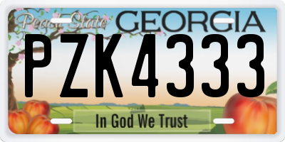 GA license plate PZK4333