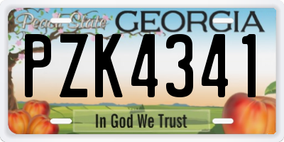 GA license plate PZK4341