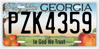 GA license plate PZK4359