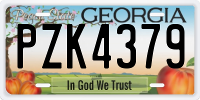 GA license plate PZK4379