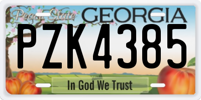 GA license plate PZK4385