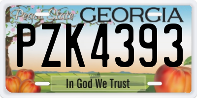 GA license plate PZK4393