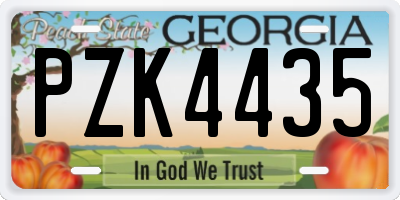 GA license plate PZK4435
